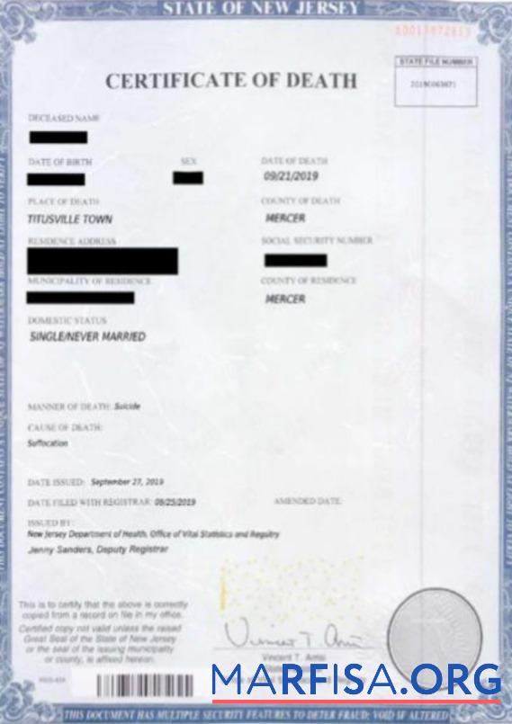 Printable USA Office of vital statistics and registry death certificate template